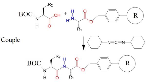 A group of chemical formulas

Description automatically generated