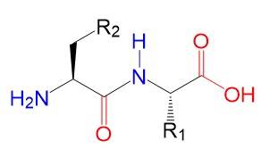 A chemical structure of a molecule

Description automatically generated